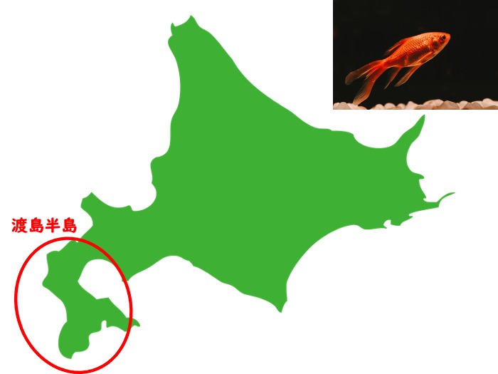 北海道 渡島半島ってどこ 読み方は ミサイルの影響は